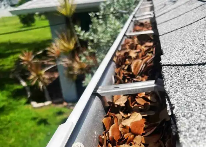 Bonneau gutter cleaning home page